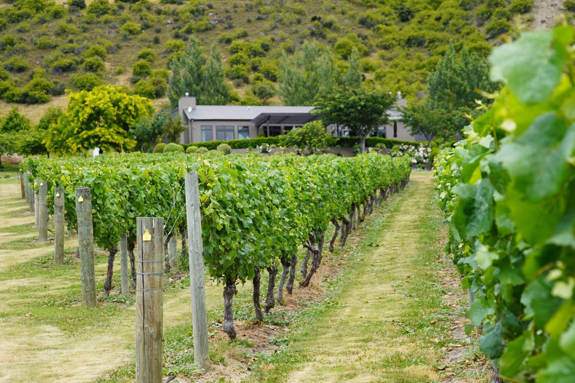 Mt Rosa Lodge Boutique Vineyard Accommodation Wanaka Dış mekan fotoğraf