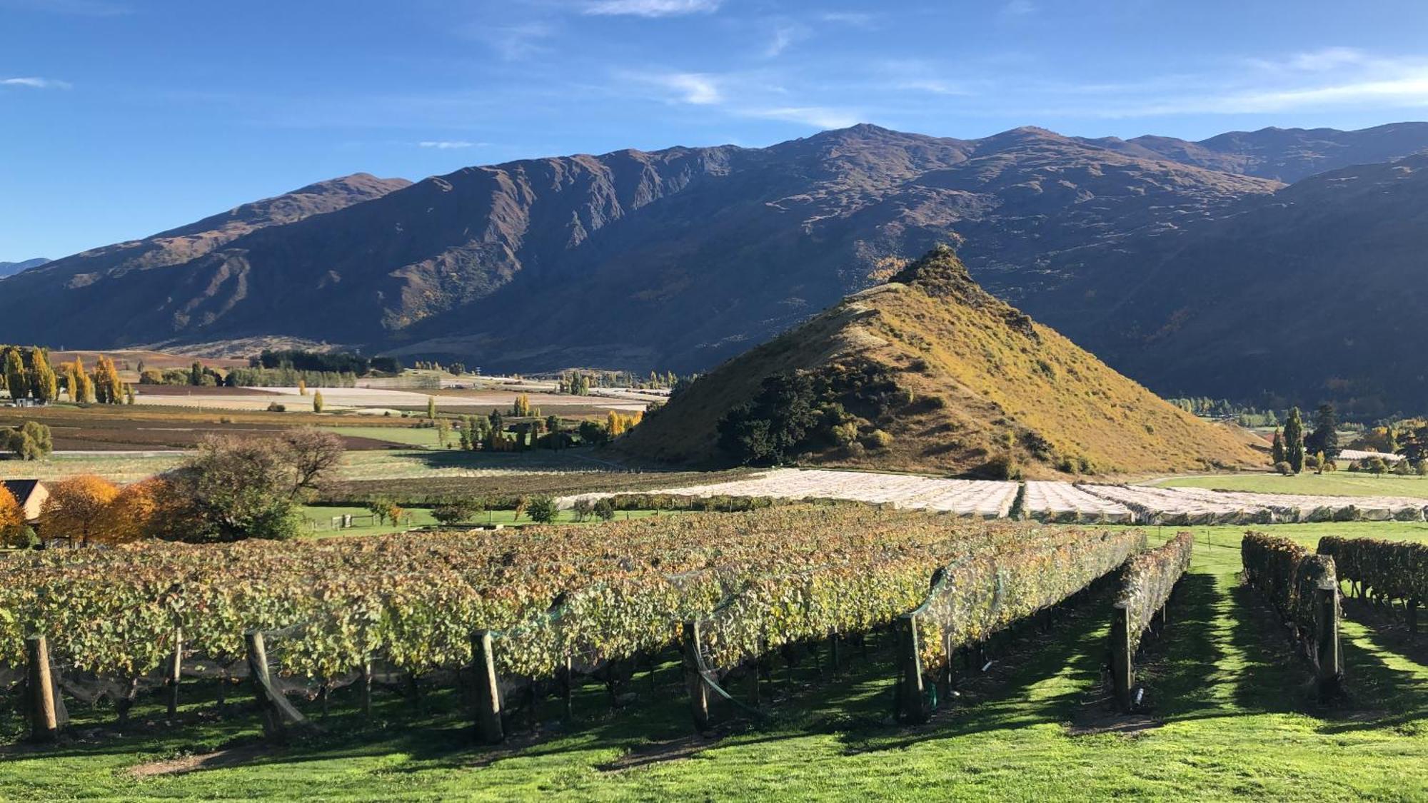 Mt Rosa Lodge Boutique Vineyard Accommodation Wanaka Dış mekan fotoğraf