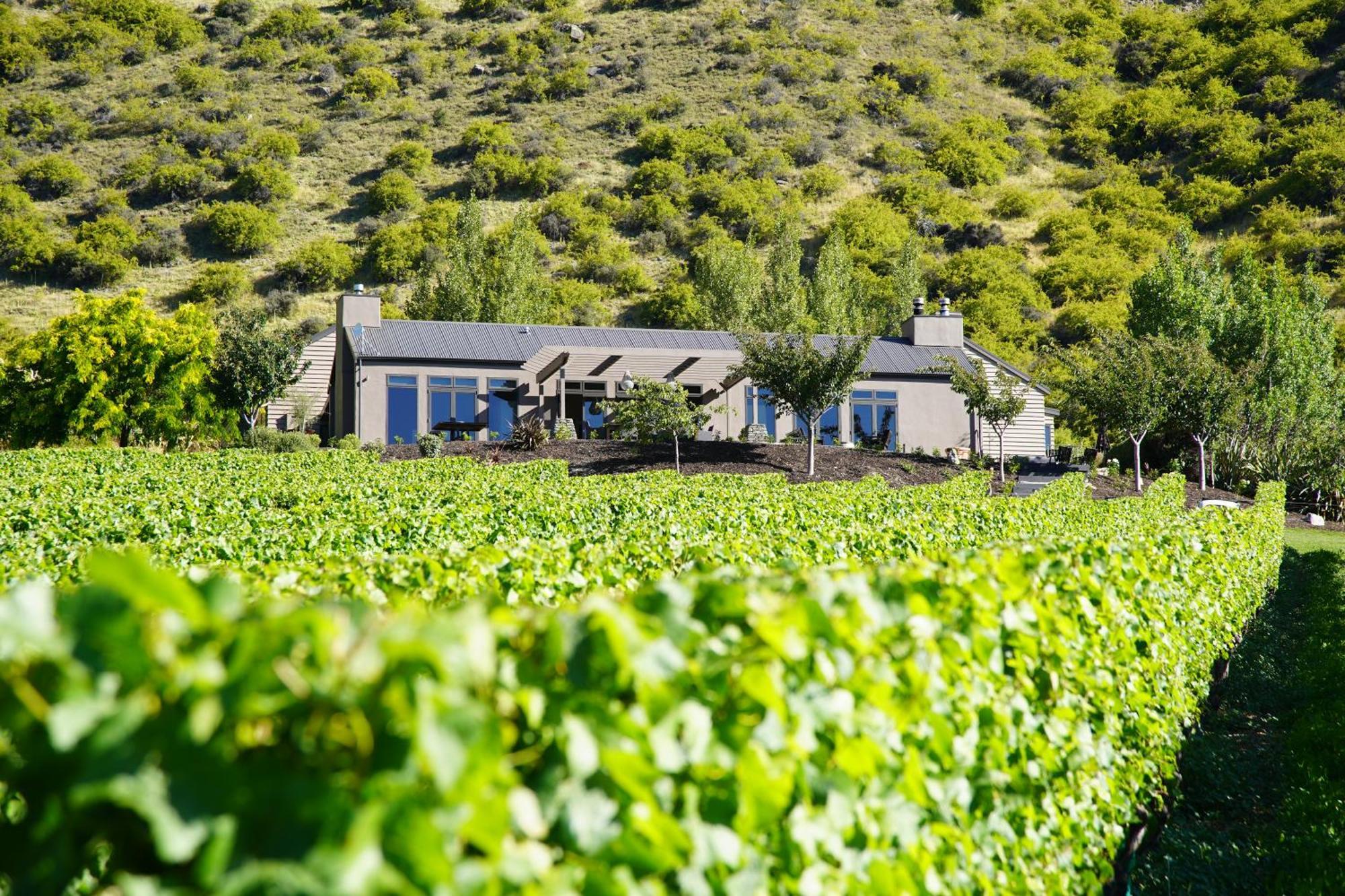 Mt Rosa Lodge Boutique Vineyard Accommodation Wanaka Dış mekan fotoğraf