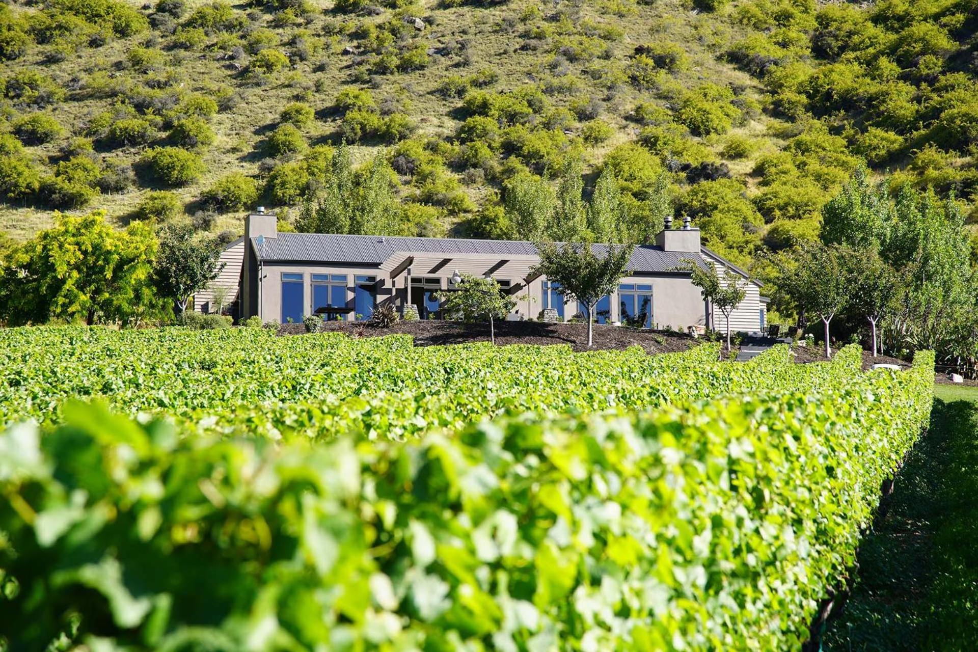Mt Rosa Lodge Boutique Vineyard Accommodation Wanaka Dış mekan fotoğraf