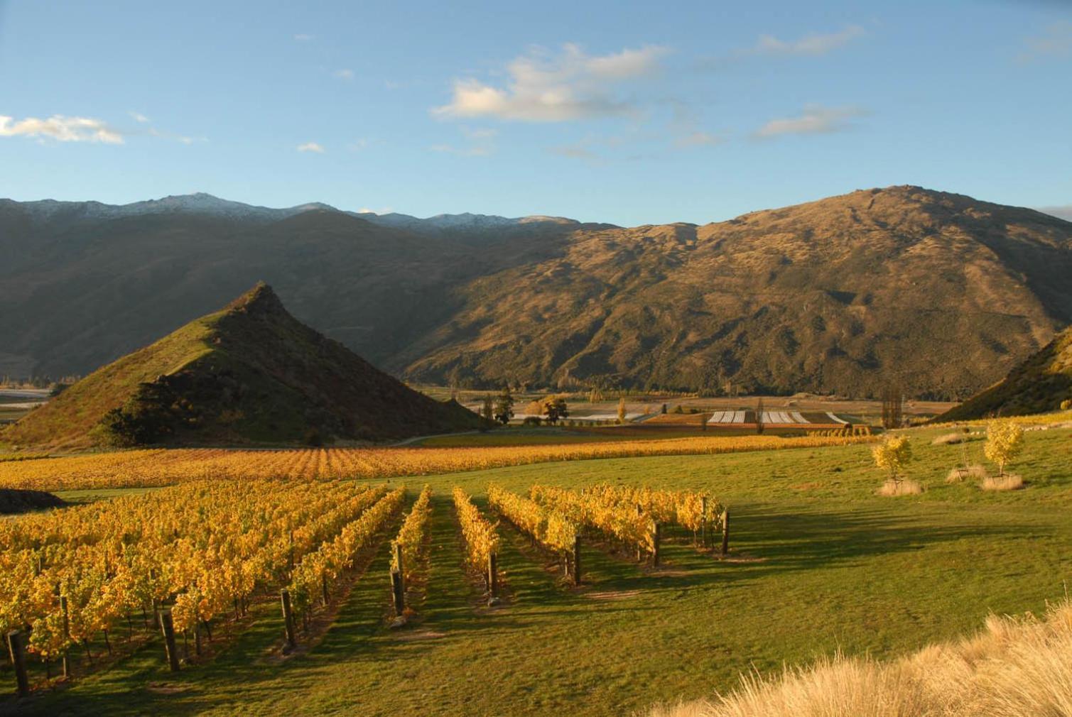 Mt Rosa Lodge Boutique Vineyard Accommodation Wanaka Dış mekan fotoğraf