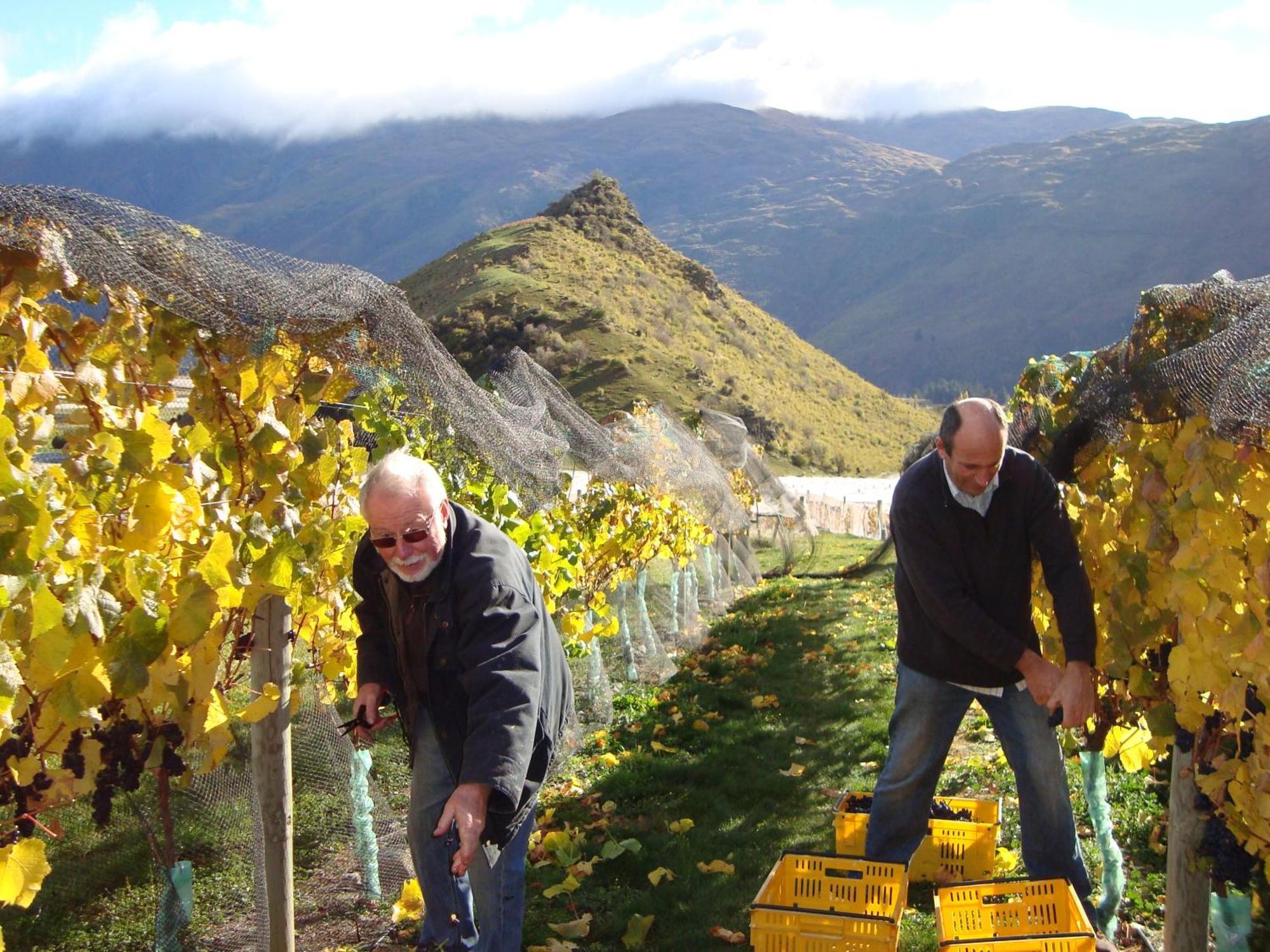 Mt Rosa Lodge Boutique Vineyard Accommodation Wanaka Dış mekan fotoğraf