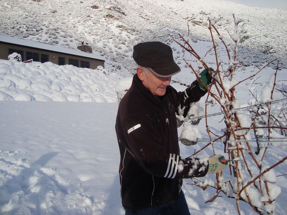 Mt Rosa Lodge Boutique Vineyard Accommodation Wanaka Dış mekan fotoğraf