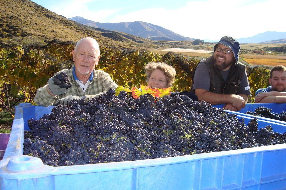 Mt Rosa Lodge Boutique Vineyard Accommodation Wanaka Dış mekan fotoğraf